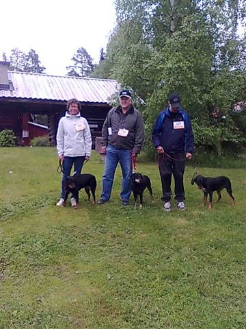 Från vänster: Slåtteråsens Kia, Slåtteråsens Pia och Slåtteråsens Rita. I mitten uppfödaren Rolf Eckerhall, Fåssjö.