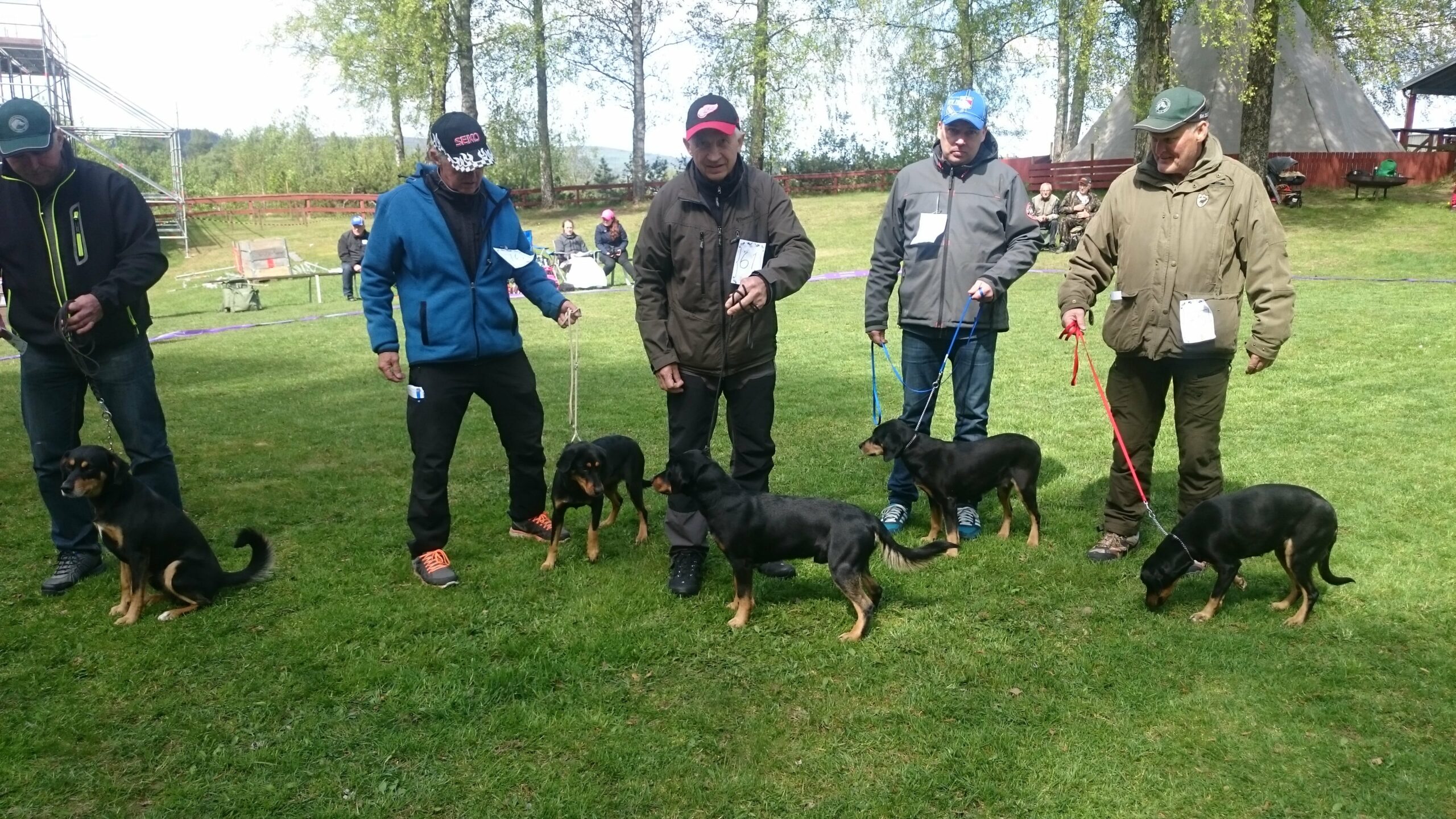 Avelsgrupp Temsgårdens kennel Sune Falk Första pris HP