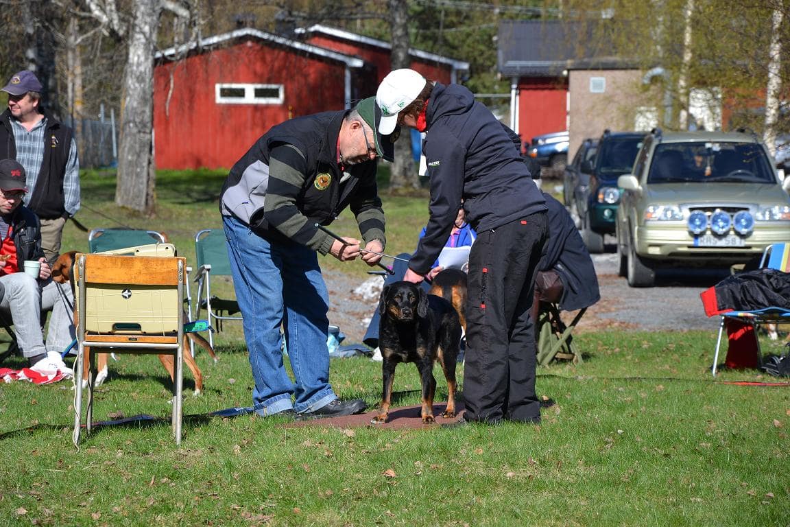 Slåtteråsens Kia